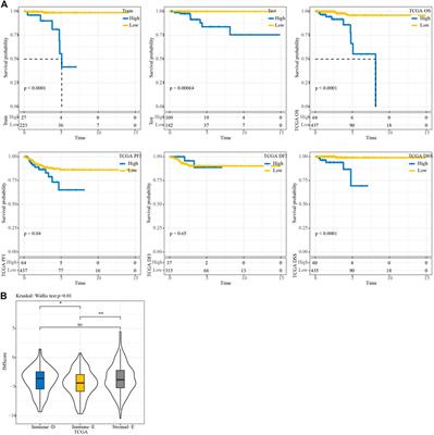 Frontiers Identification Of Novel Immune Related Molecular Subtypes